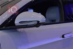 بي واي دي سيل EV